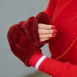 Accessori