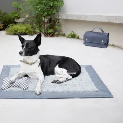 Accessori per cani