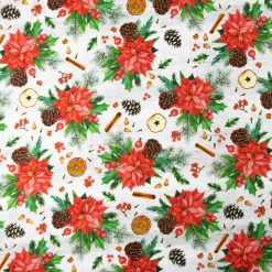BABY COTONE DIGITALE FRUTTA SECCA NATALE