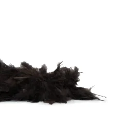 Boa