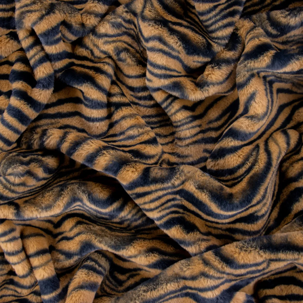 CASTORINO TIGRE