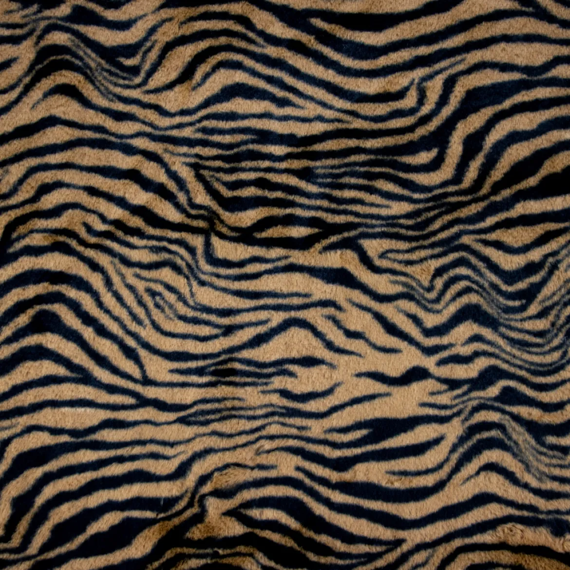 CASTORINO TIGRE