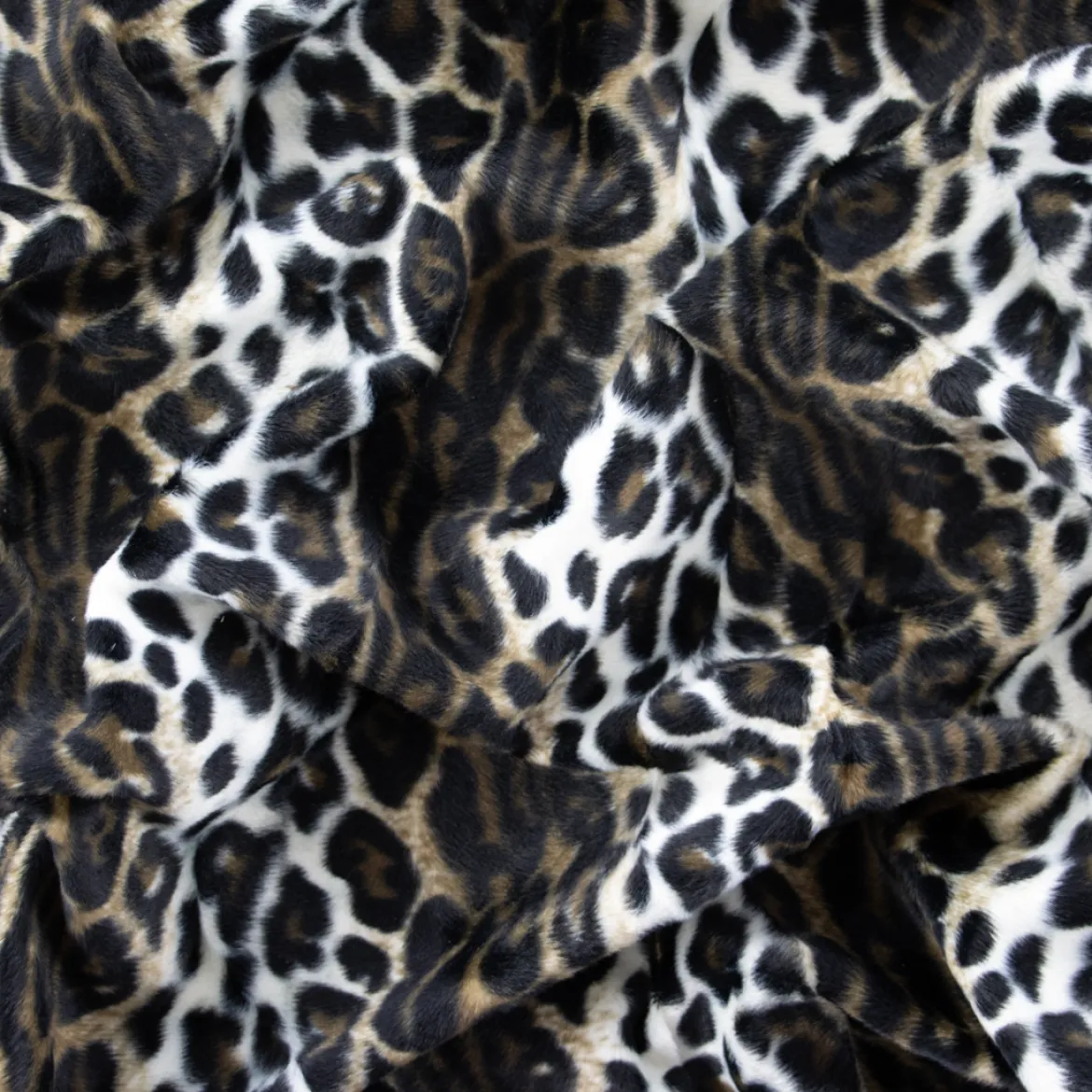 CAVALLINO ANIMALIER