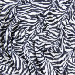 CAVALLINO ZEBRA