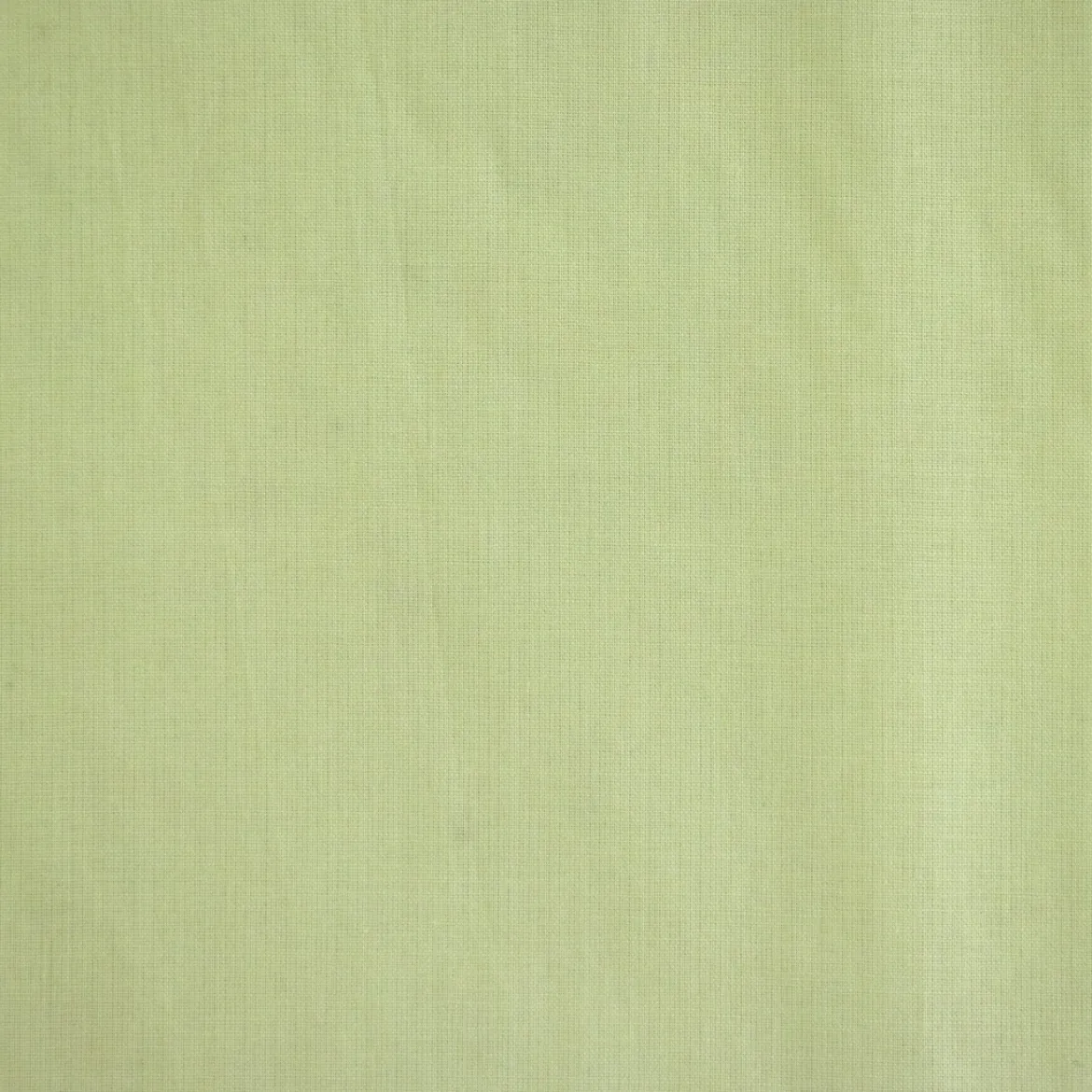 COTONE BRETAGNA