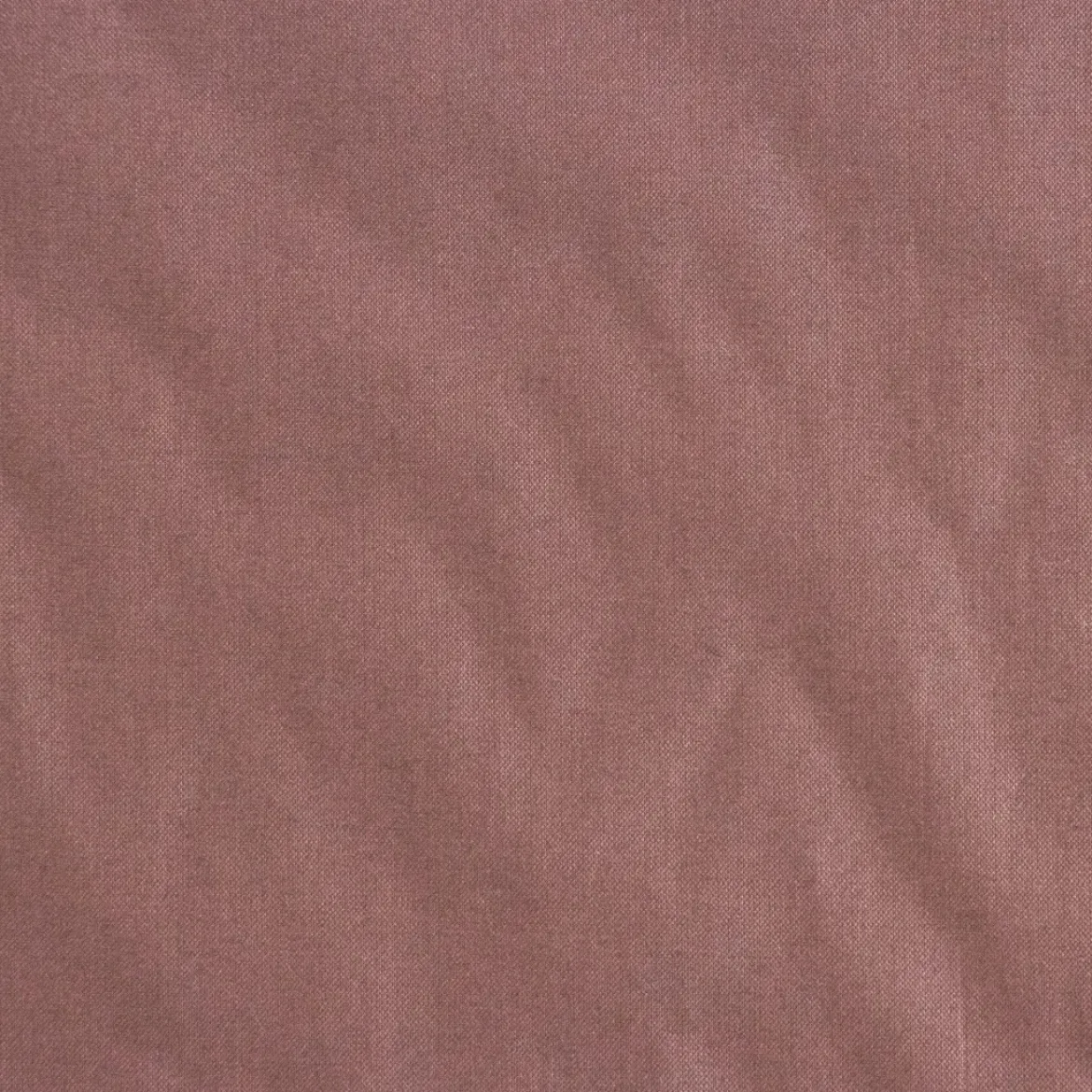 COTONE BRETAGNA