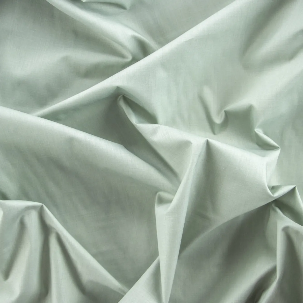 COTONE CAMICERIA TERAMO