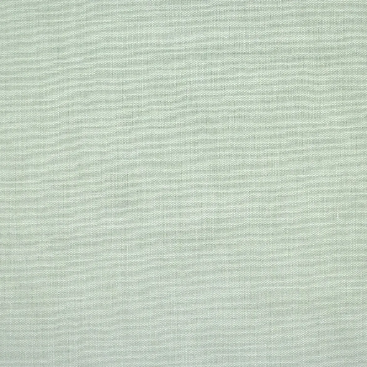 COTONE CAMICERIA TERAMO