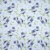 COTONE OLANDA SCIMMIETTE