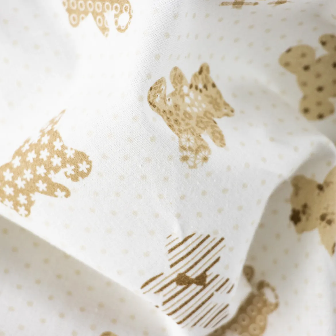 COTONE RAFFAELE DISEGNO TEDDY