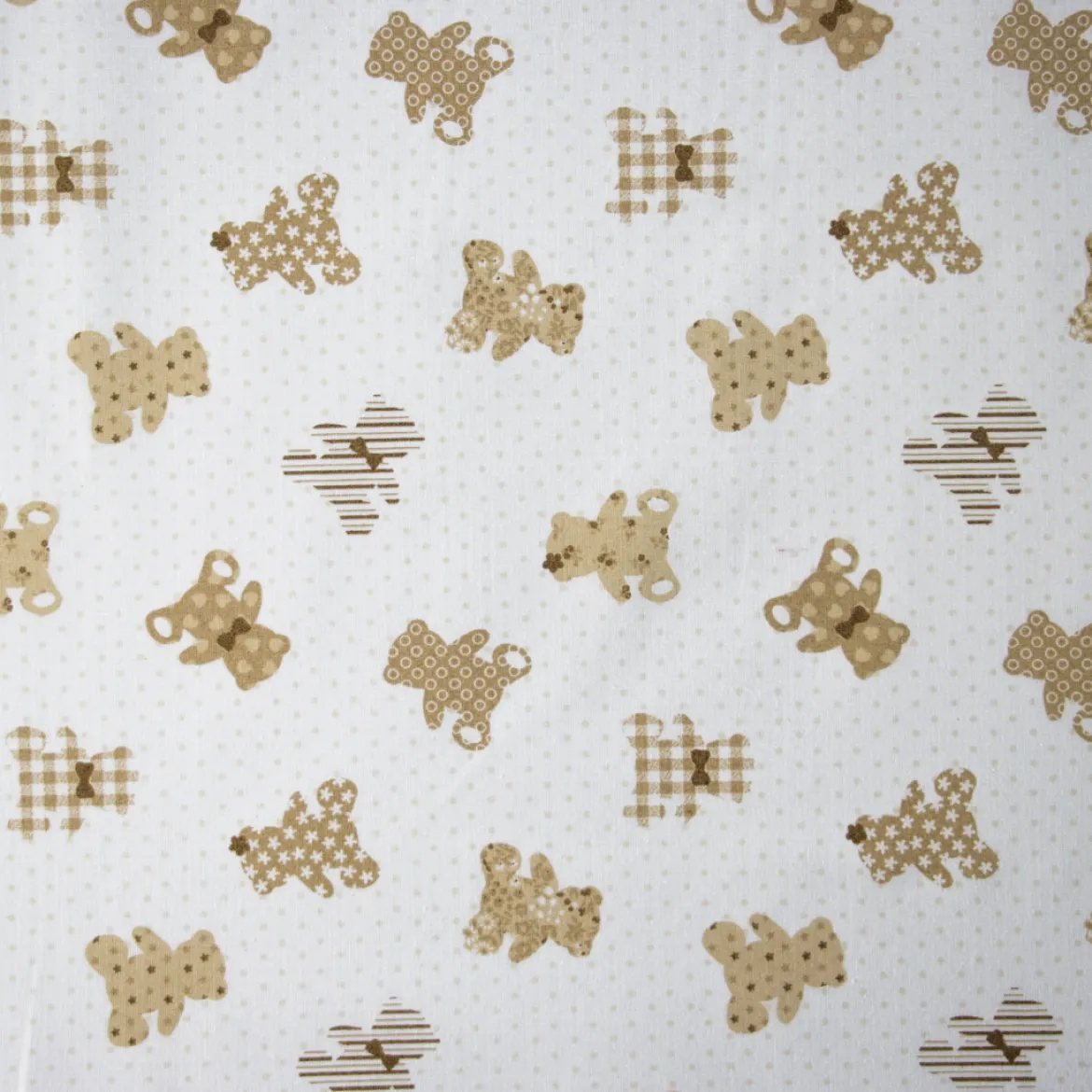 COTONE RAFFAELE DISEGNO TEDDY