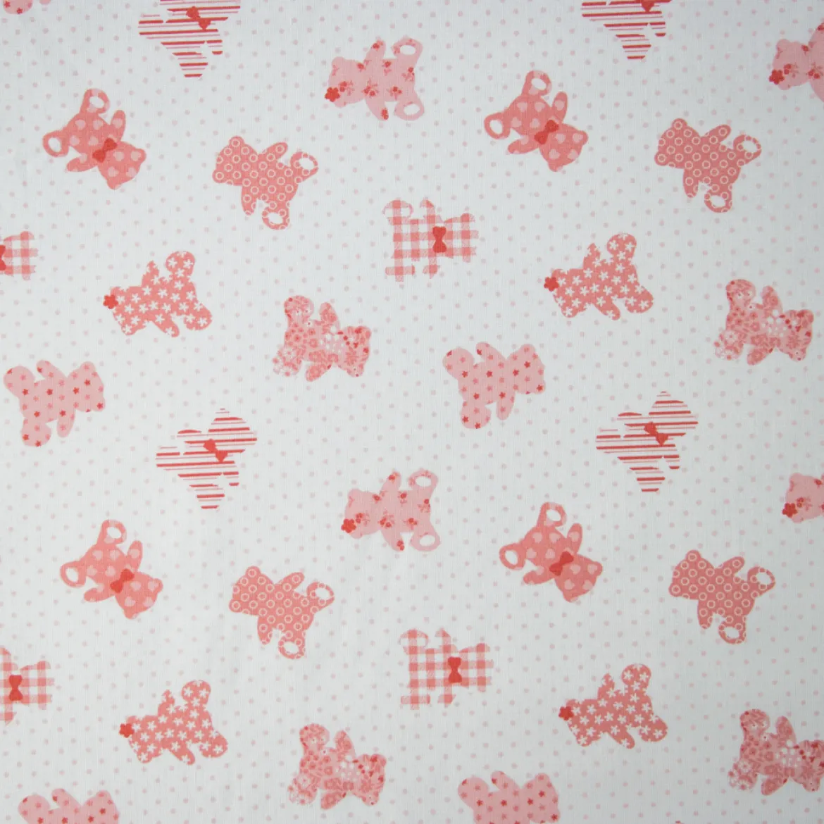 COTONE RAFFAELE DISEGNO TEDDY