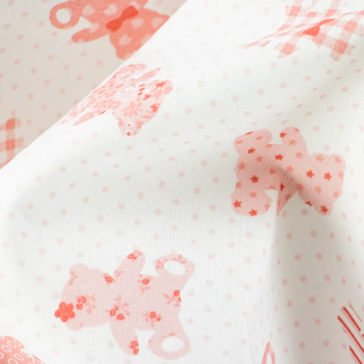 COTONE RAFFAELE DISEGNO TEDDY