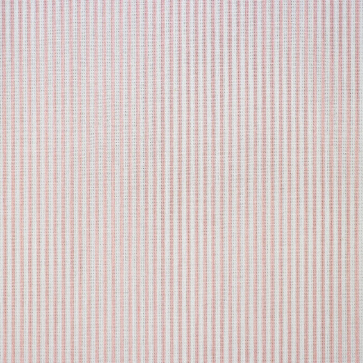 COTONE RAFFAELE RIGHE