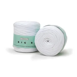 Fettuccia bag 700g circa per gomitolo