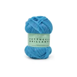 Fettuccia Brillante gomitolo da 100g