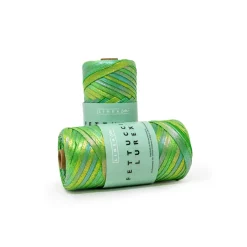 Fettuccia Lurex gomitolo da 200g