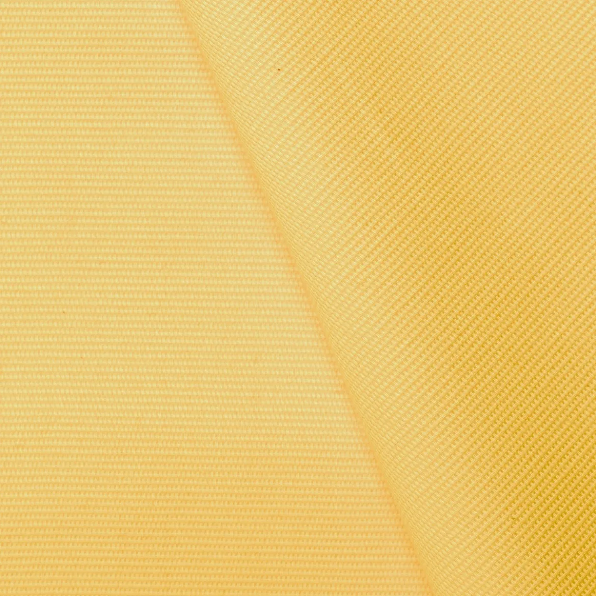 HALF PANAMA