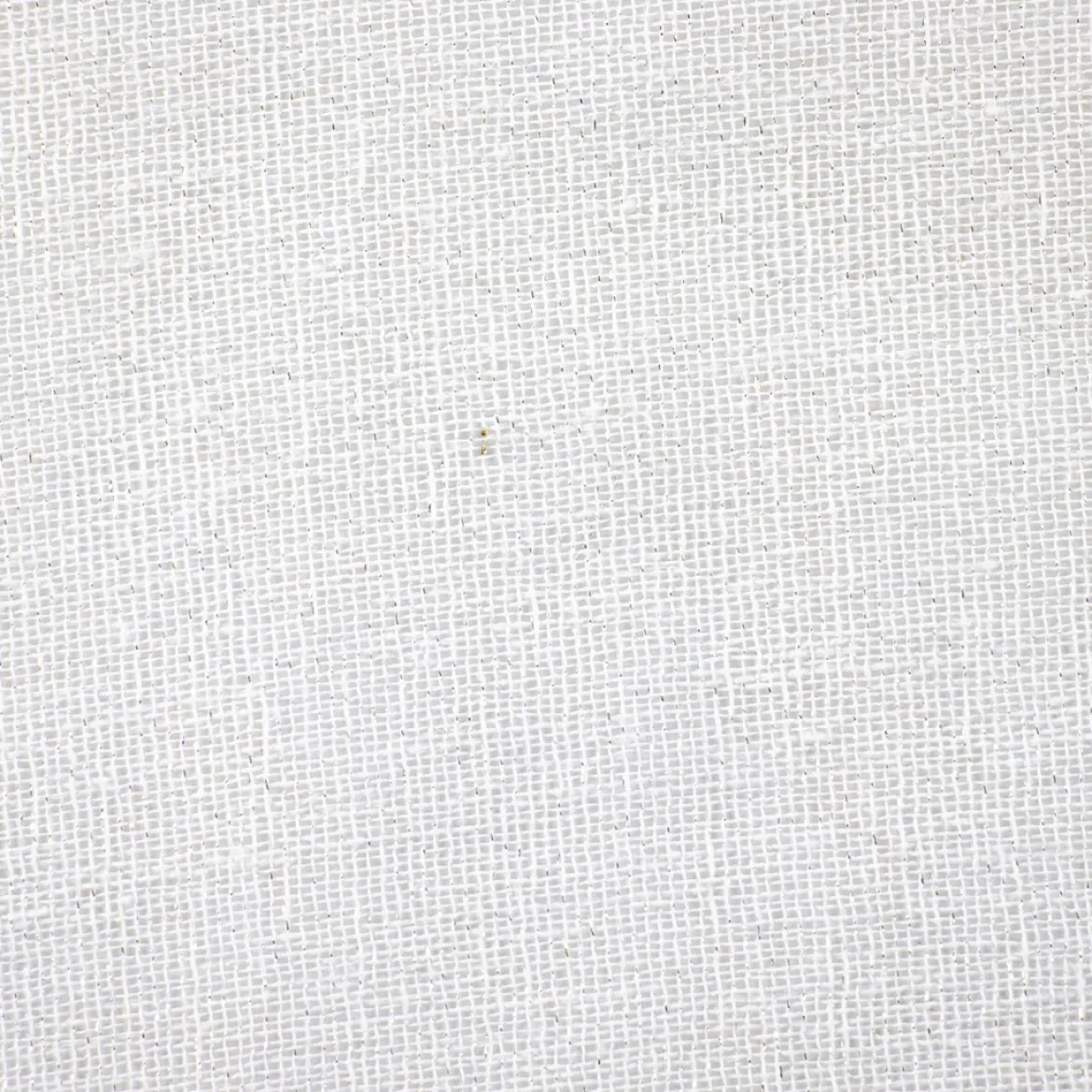 LINUS TENDA LUREX
