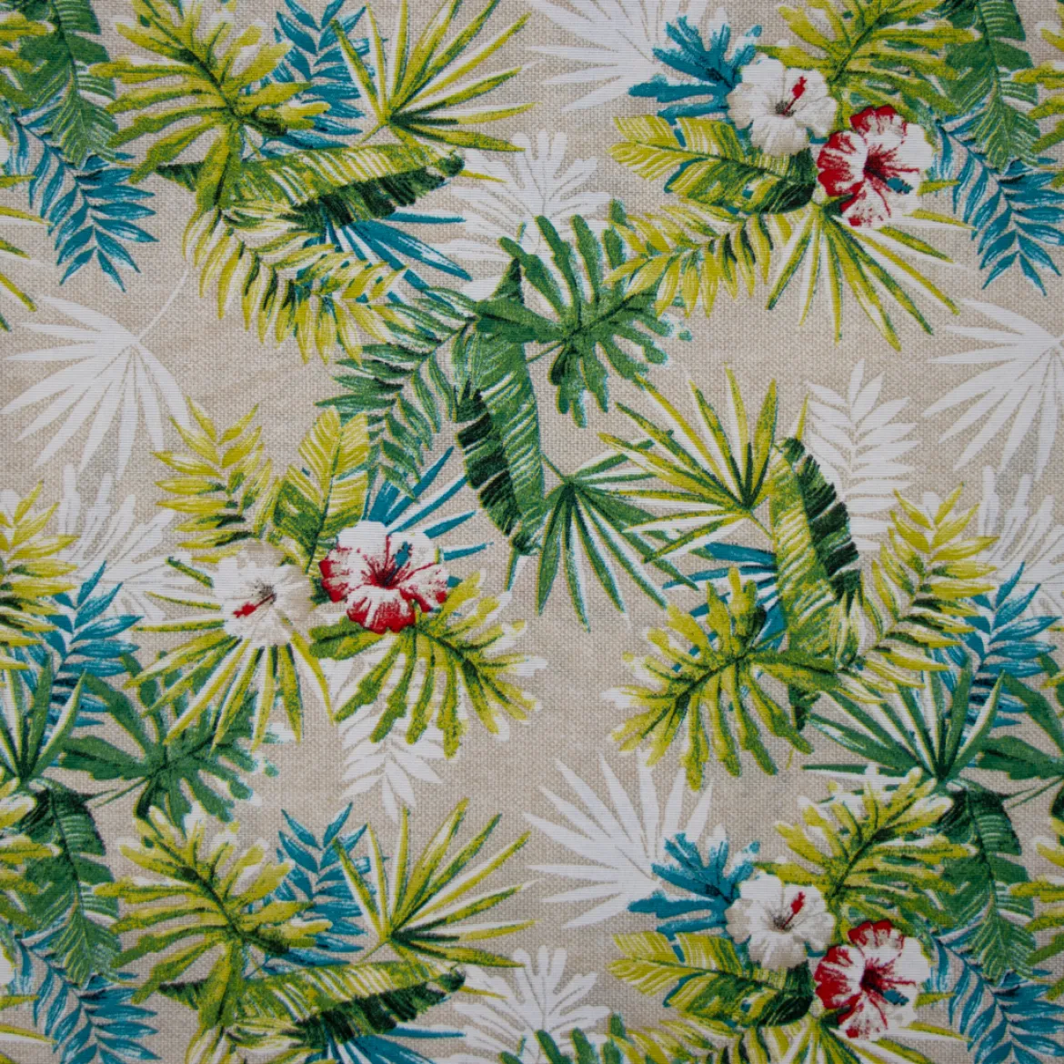 LONETA RAFFAELE DUE PARROT COORD UNICO
