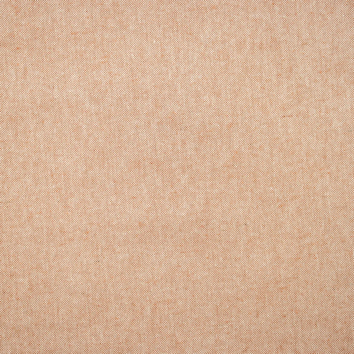 LUPO RICICLATO
