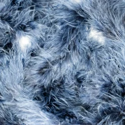 Marabou