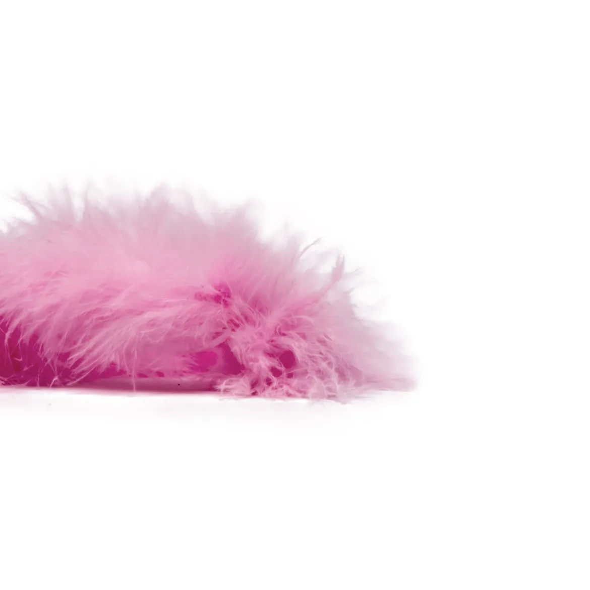 Marabou