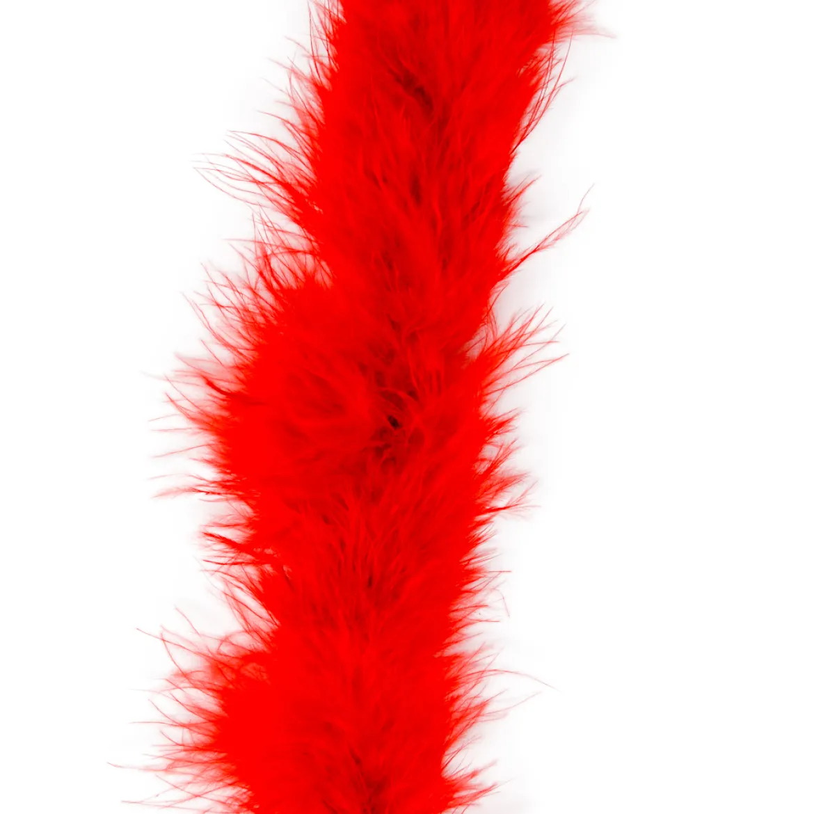 Marabou