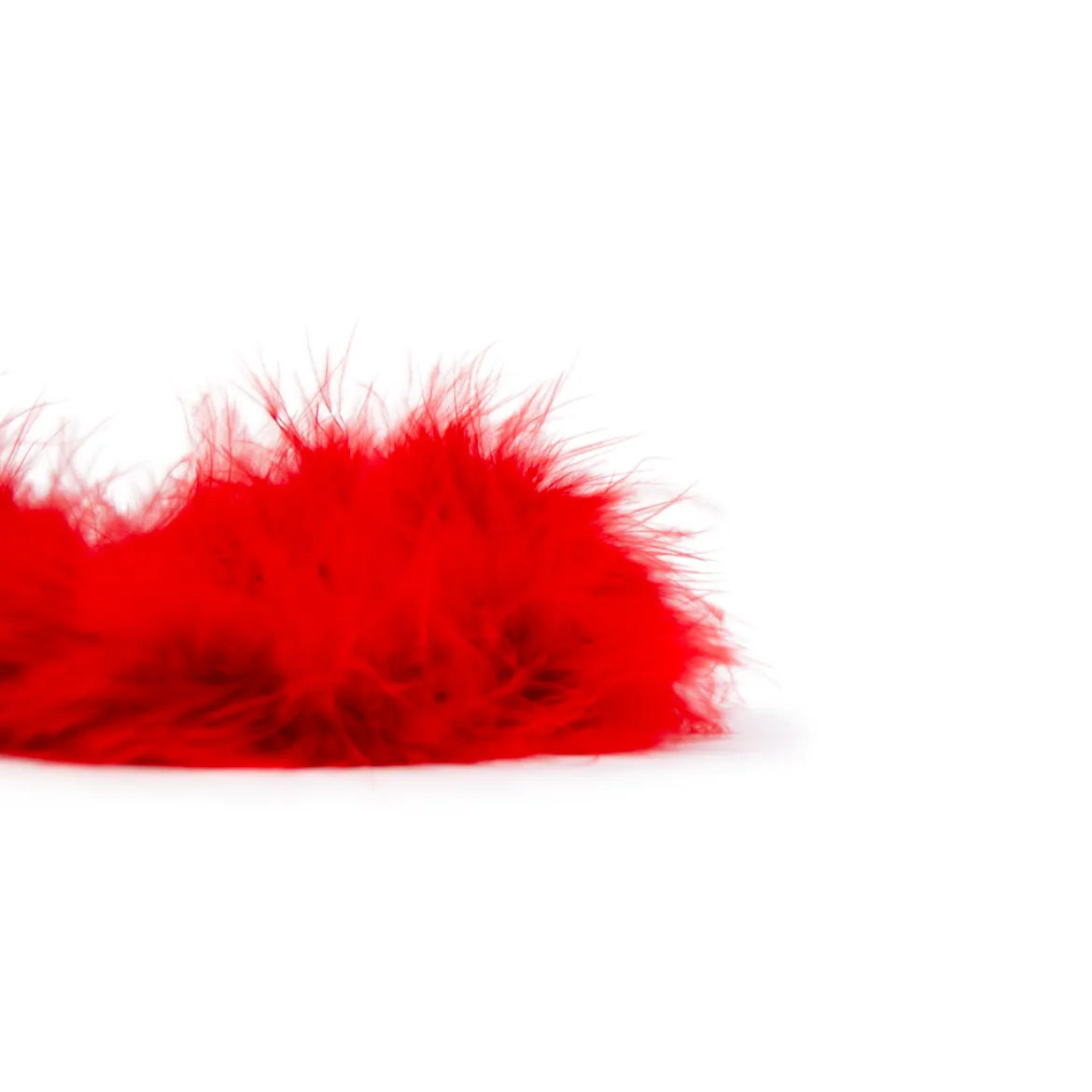 Marabou