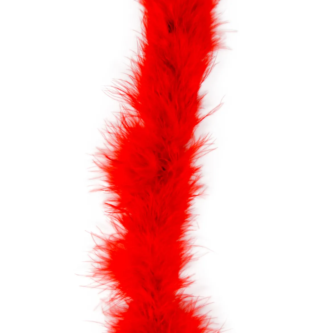Marabou