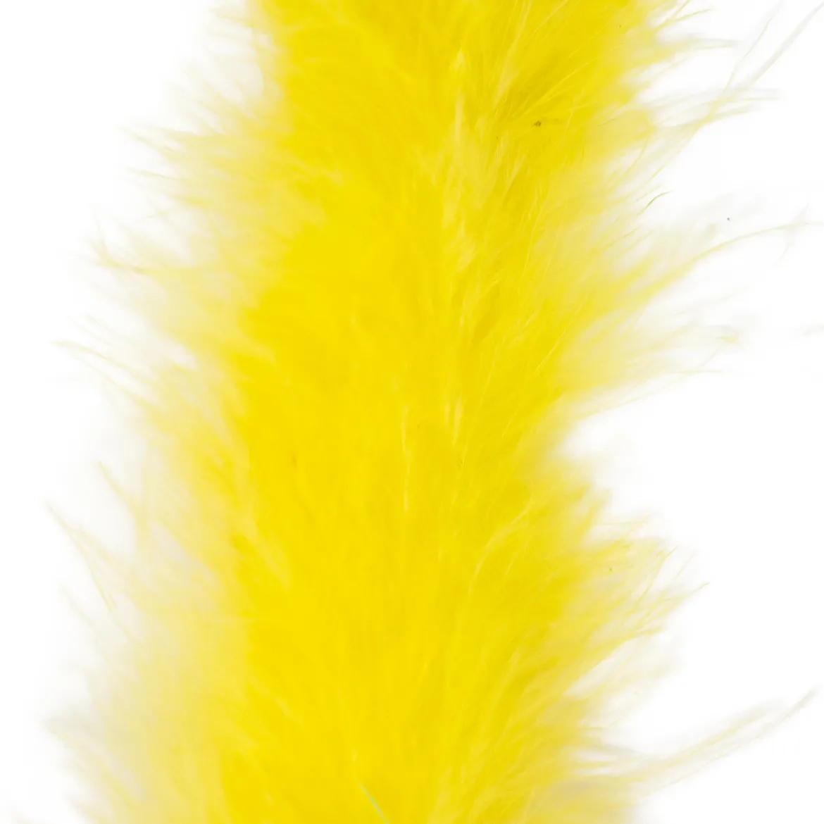 Marabou