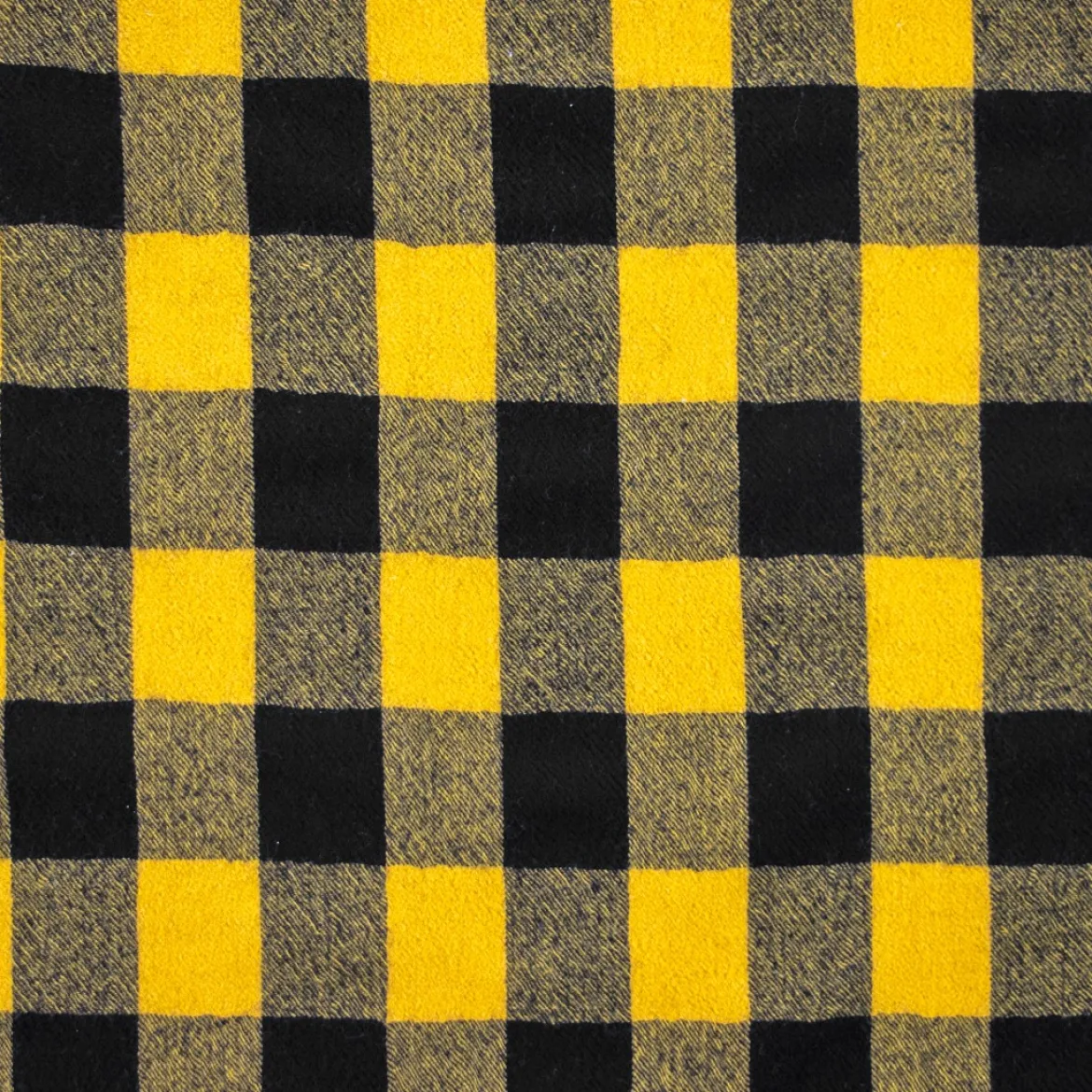 MUSSOLA QUADRO