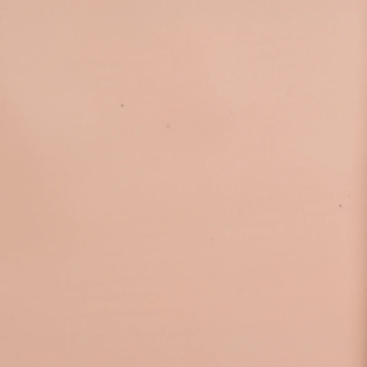 ORGANZA NYLON BALLO