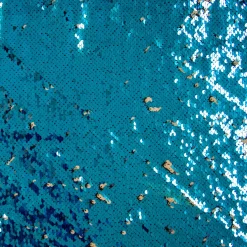 PAILLETTES BICOLOR GINSY