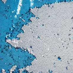PAILLETTES BICOLOR GINSY