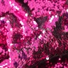 PAILLETTES GINSY