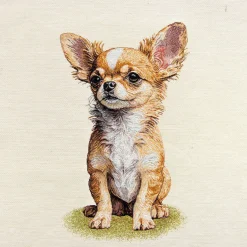 Pannelli 47x47 cm chihuahua