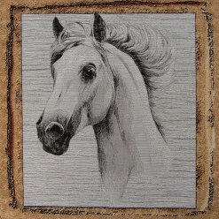 PANNELLI 47X47 CM MULTIANIMAL