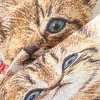 Pannelli 47x47 gattini