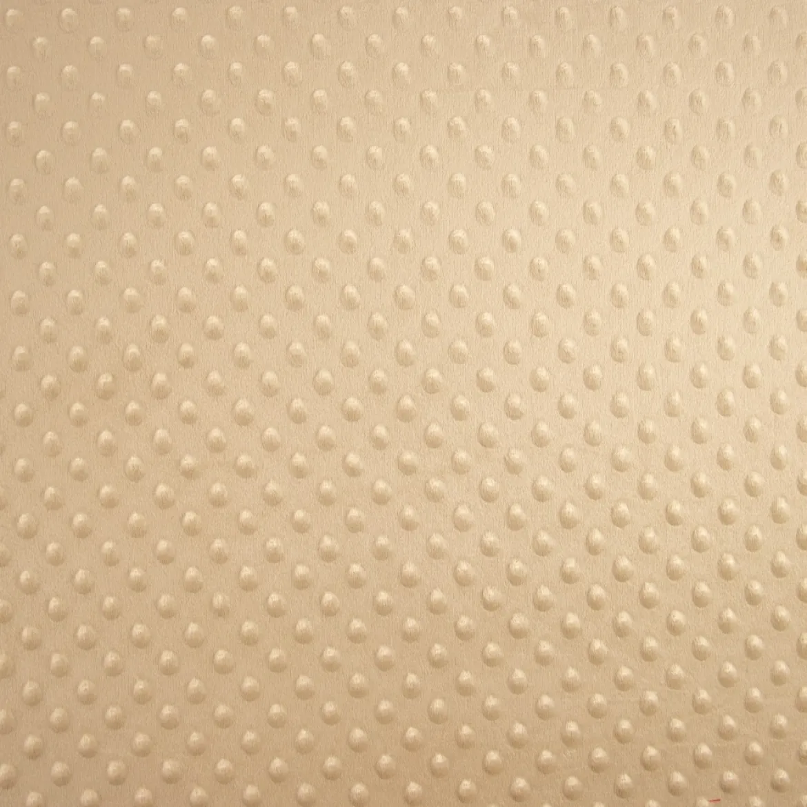 PILE MICROFIBRA MINKY