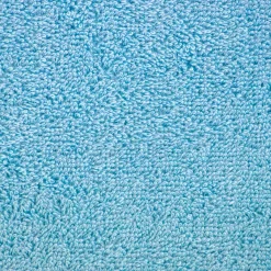 SPUGNA PER ASCIUGAMANI