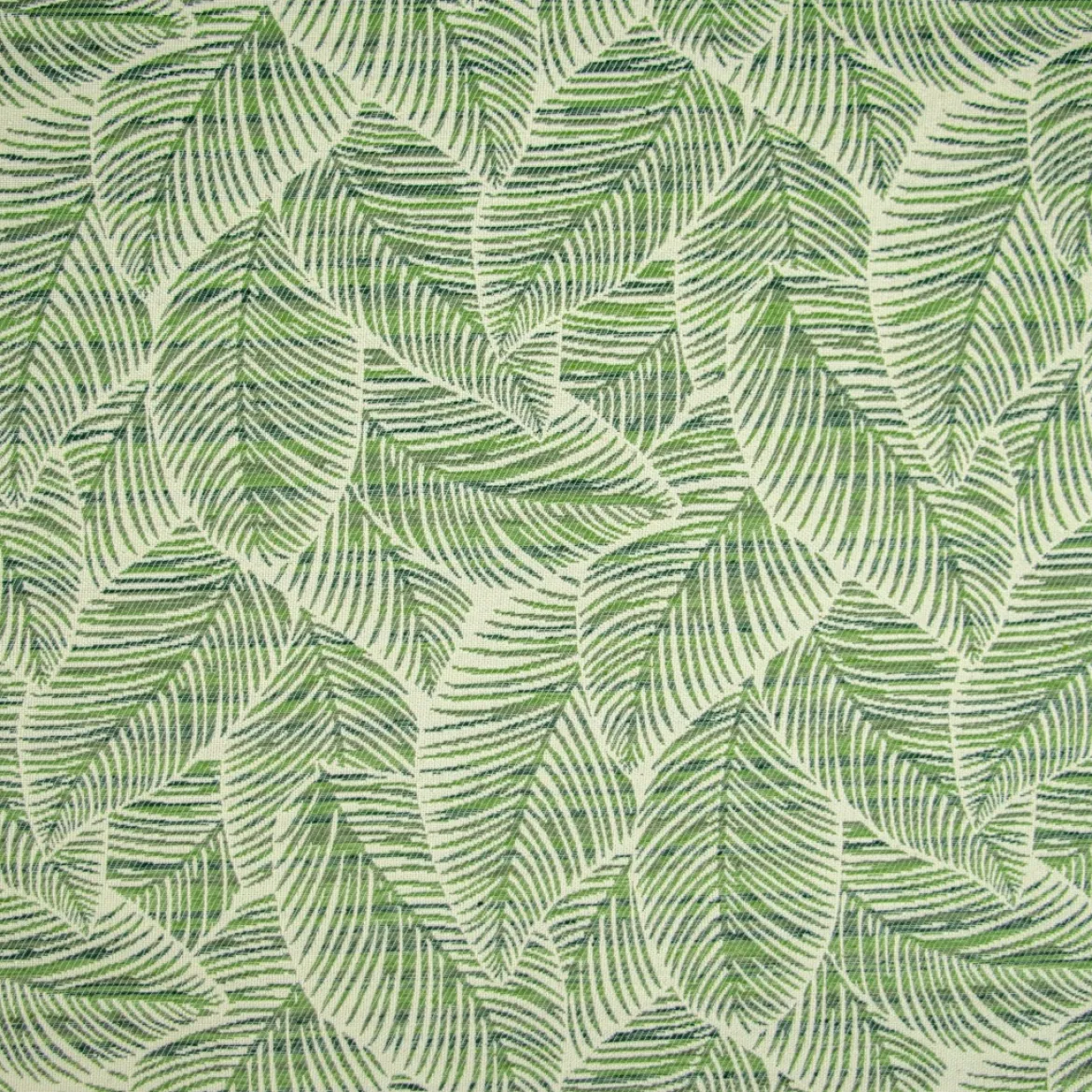 TOSCANA CICAS