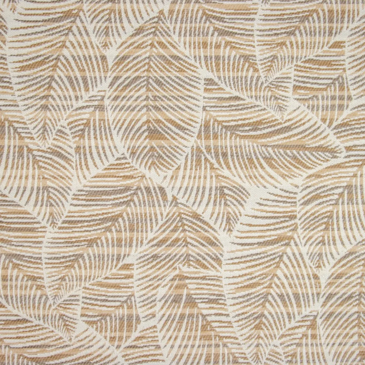 TOSCANA CICAS