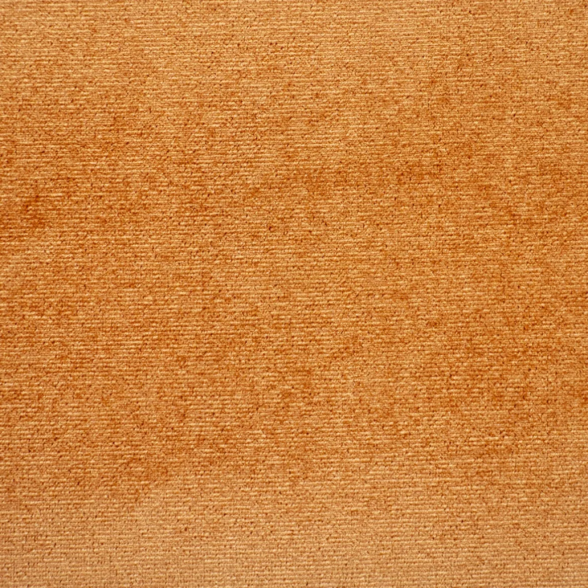 VELLUTO CINIGLIA